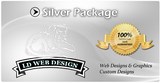 Silver Web Design Package
